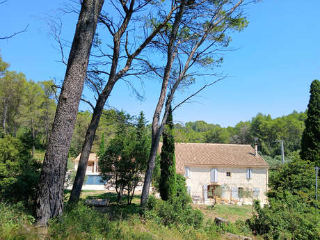 Mas Leblanc des Alpilles