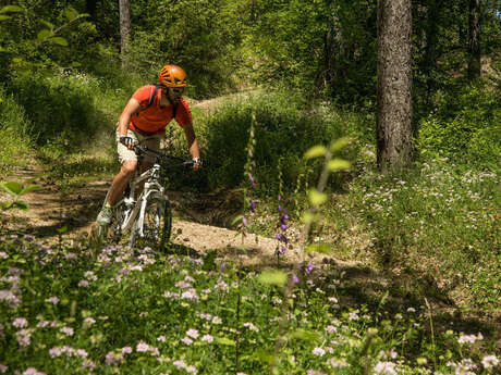 Le Tour d'Aujour