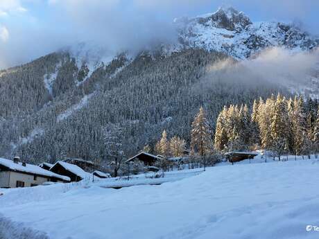 Promenades découvertes + mini-photoshoot