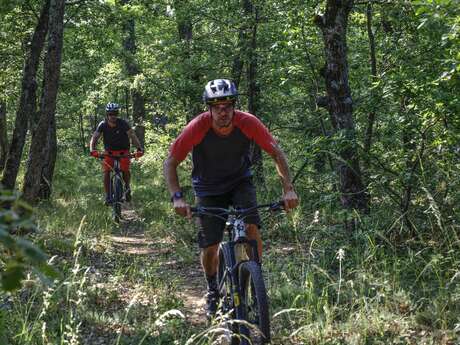 Site VTT FFC-Pays d'Oraison-Coeur de Durance-Circuit 5-Rouge-Oraison