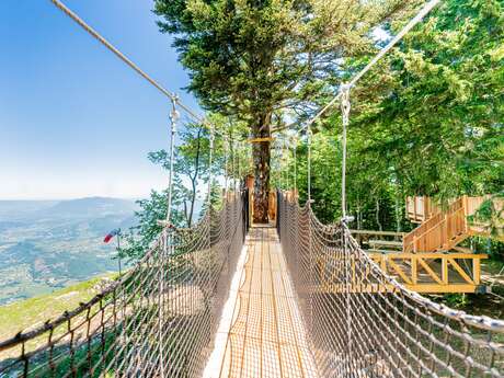 Le Nid des Aigles - Passerelle dans les arbres