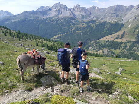 Randonnées avec des ânes - Anes Ô Montagnes