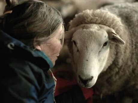 Rencontre culturelle : Projection de "Notes from Sheepland" suivie d'une discussion