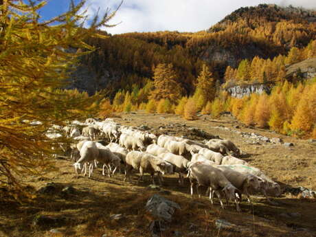 Ferme de Champ Noble