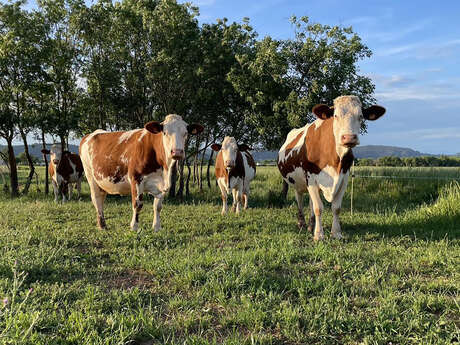Ferme du Vallat Sableux