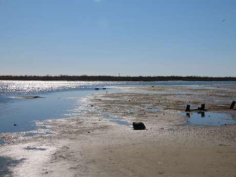 En voiture dans le salin