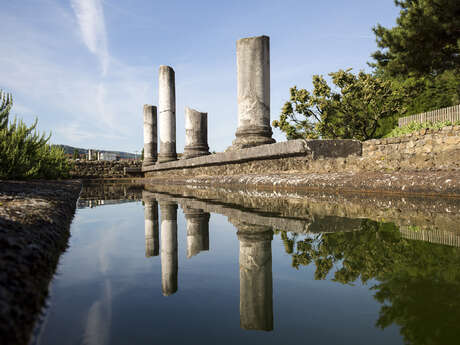 Guided tour: mosaics - stone images