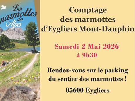Eygliers Mont-Dauphin marmot count