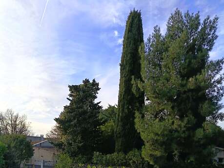 Le Guétali du Garlaban