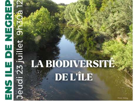 Sortie nature