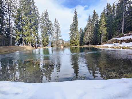 Itinéraire raquettes : Les Evettes depuis Flumet