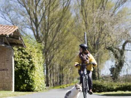 Mai à vélo à la médiathèque