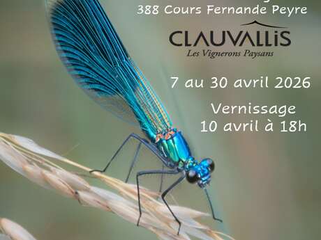 "Les ailes de l'eau" expo photos de Philippe Croayne à Clauvallis