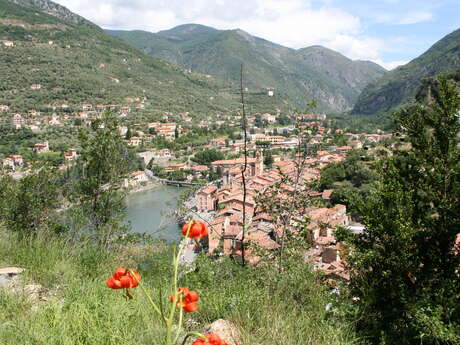 Randonnée VTT (AE) ou gravel de la vallée du Cairos à la vallée de la Maglia par Colla Bassa