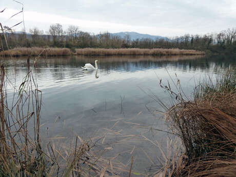 Sortie pédagogique : Fonctionnement d'une réserve naturelle