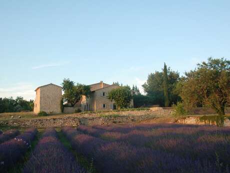 Fontaure