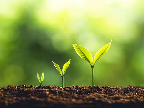 Création nature et compostable