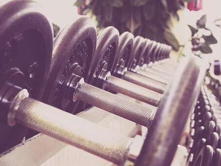 A.M.S.L.F Musculation Fitness