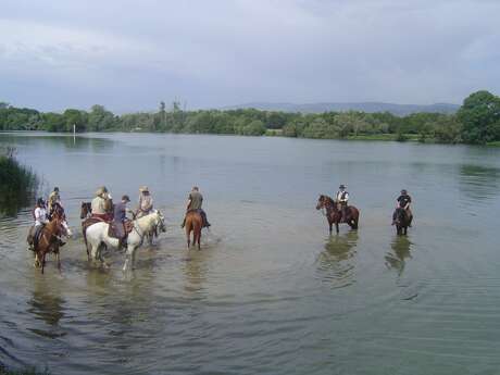 Ferme Passion - Reitzentrum