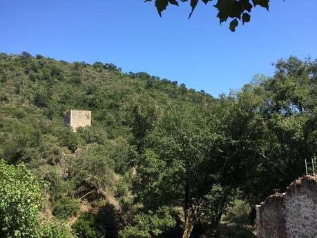 Tour sarrasine de Saint Cassien des Bois