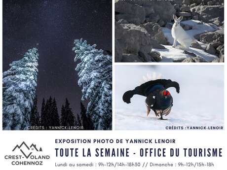 Photo exposition by Yannick Lenoir