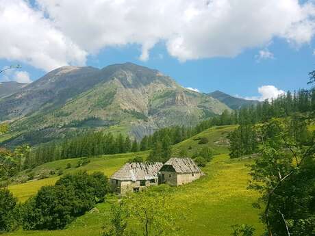 Trail : Le Brec - Vacheresse