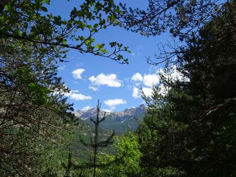 SENTIER THÉMATIQUE : Le Sentier du Cloutas