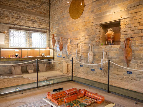 Musée Gallo-Romain de Tauroentum