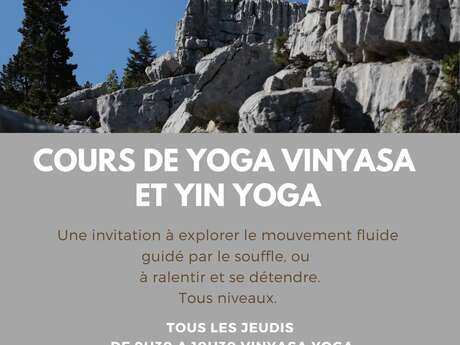 Cours de Yoga Vinyasa et Yin Yoga avec Lise