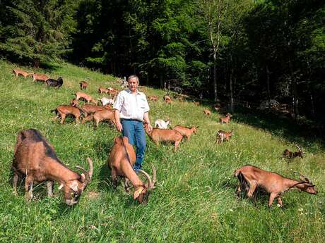 La Ferme du Petit Mont