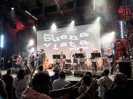 The Buena Vista Orchestra - Salsa Dura