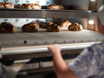 Atelier fabrication du pain au levain