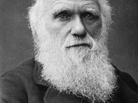 Quoi de neuf après Charles Darwin ? - Evolutionnistes versus créationnistes