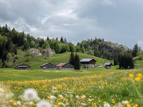Sentier de randonnée - Boucle du plateau de Plaine Joux