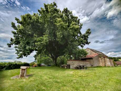 Découverte de la chapelle de Saint-Rémi - Salavre