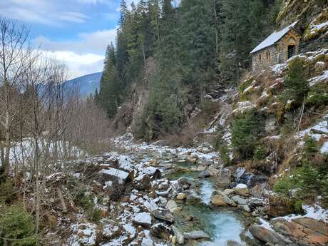 La rivière, un écosystème à part entière