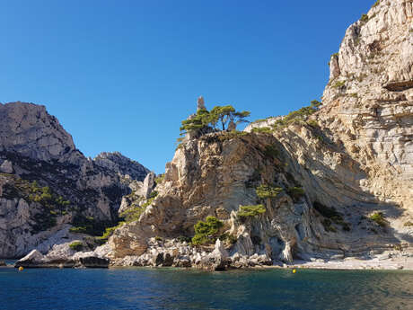 Croisière dans le Parc National des Calanques en journée - Quai d'honneur Mairie