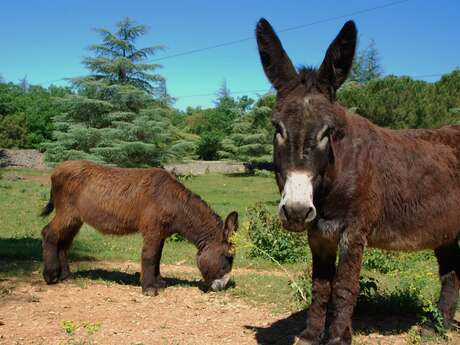 L'Aventure nature avec Aoubré