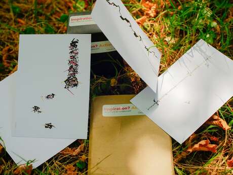 Inspiration action – performance en réseau