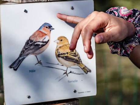 Rando FIRA : 2206-1 – Balade ornithologique