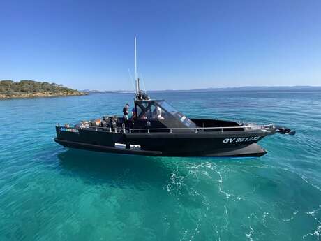 Porquerolles et ses plages