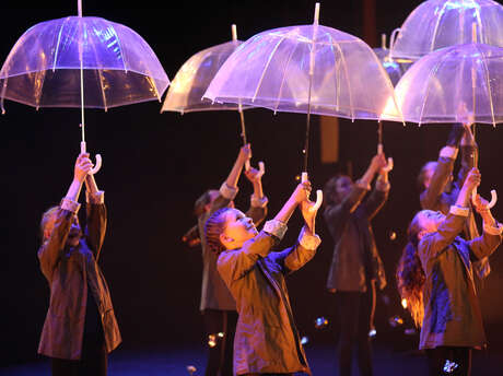 L'étrange usine à merveilles