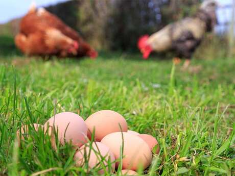 Ferme de Tanvol