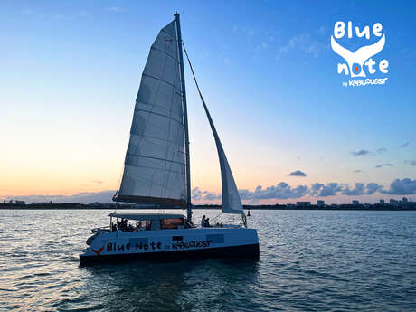 Sortie en mer en fin de journée sur catamaran à voile de 2h par Kapalouest - Blue Note