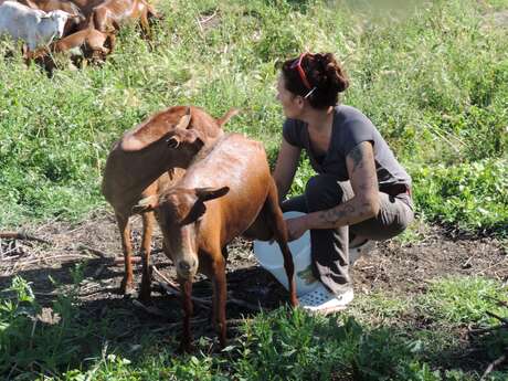 Ferme des Libellules