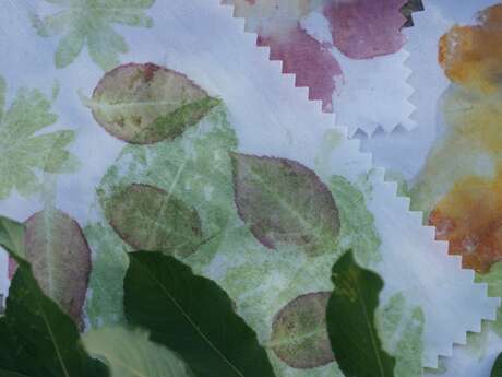 Atelier impressions végétales – Tataki zomé
