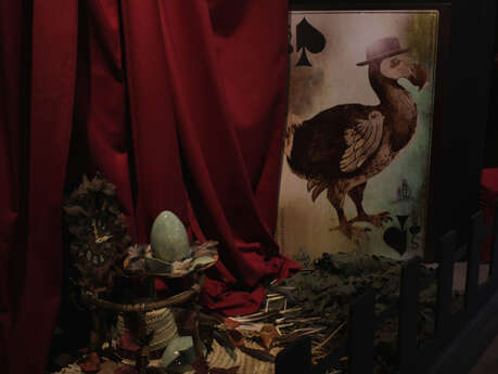 Visites flash animée "Aliçe et les drôles d'oiseaux