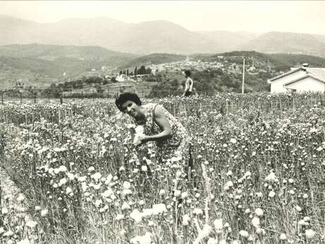 Gomot, 50 ans de regards