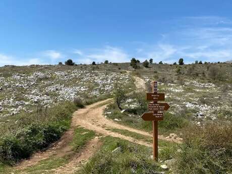 RANDO PATRIMOINE : LES FRAGILES RICHESSES DU PLAN DES NOVES