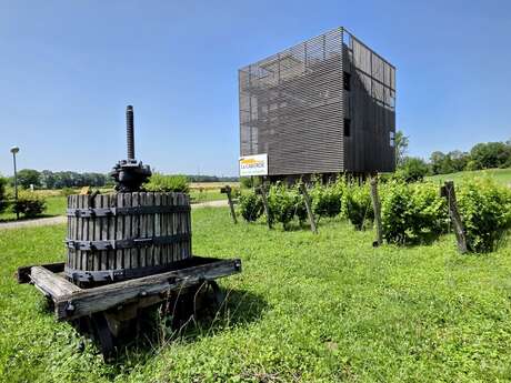 La Caborde - Aire viti-culturelle